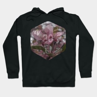 Nat20 Pink blossom Hoodie